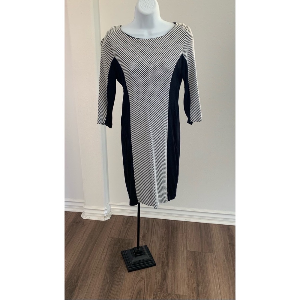 Banana Republic Fitted Scoop Neck Dress